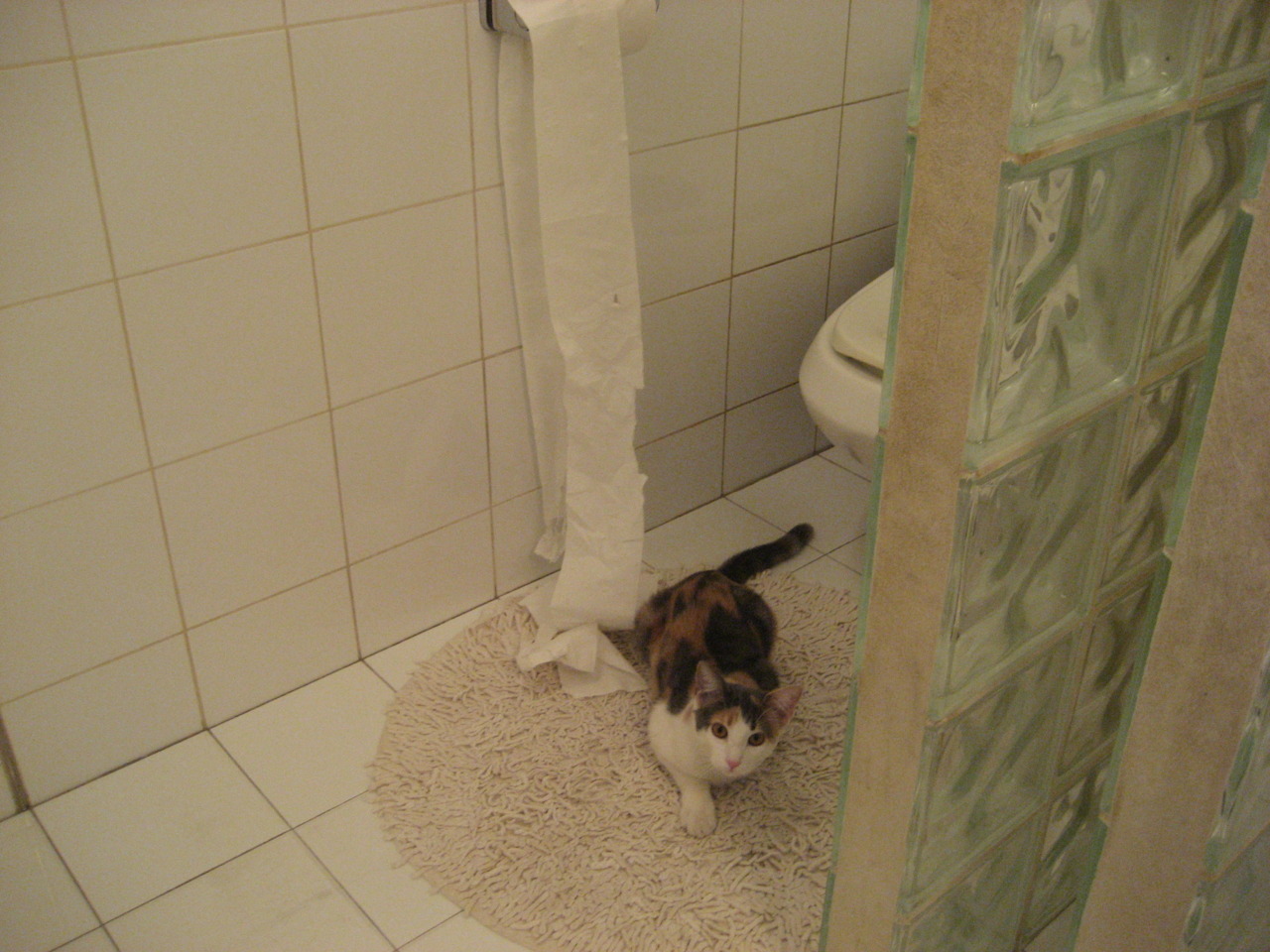 开云官网登录-AI智能分析助力青训，培养未来足球精英，足球人工智能大数据预测