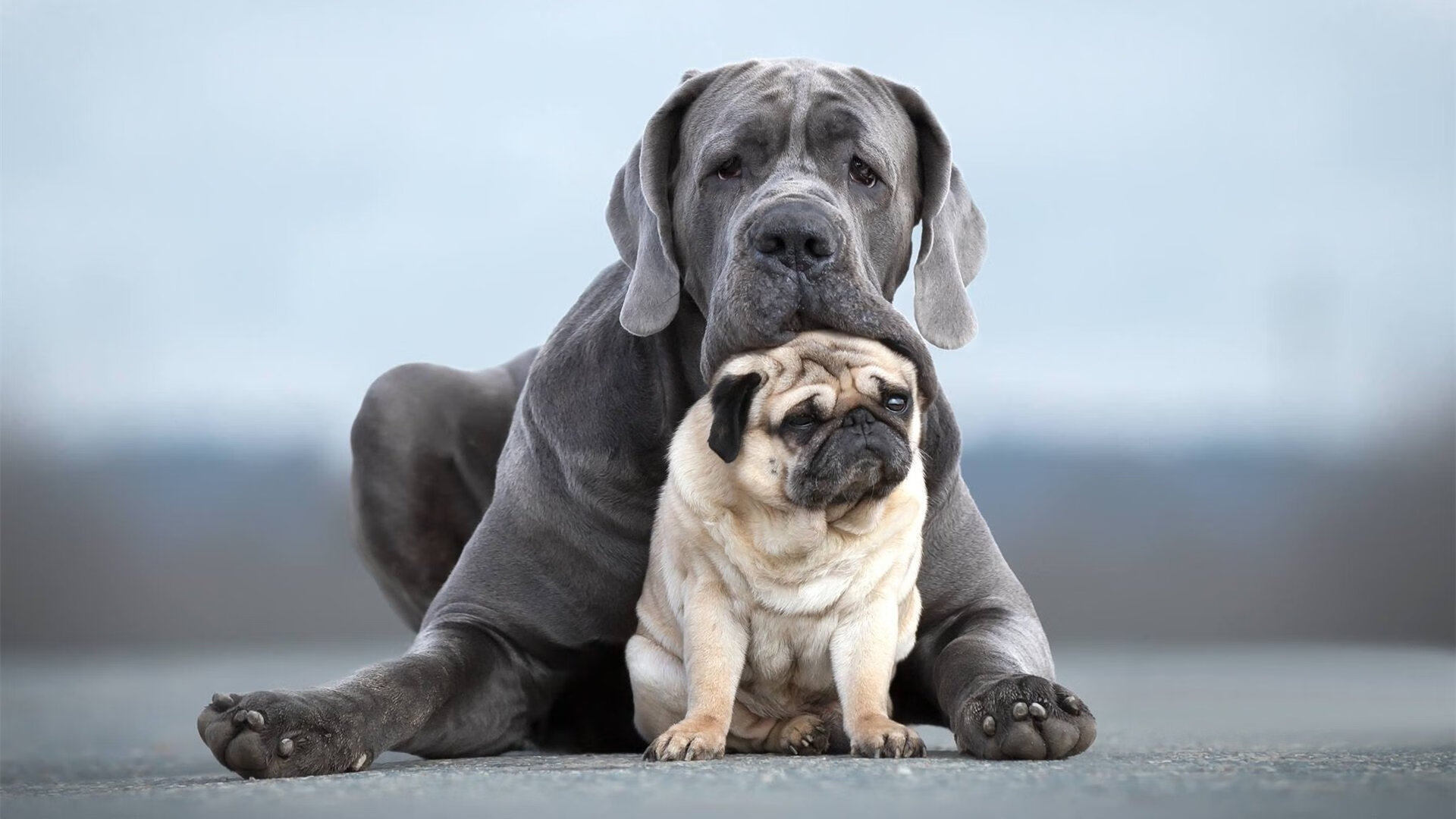 开云·体育官网-NBA商业化新纪元：数码产品和虚拟货币的结合，nba数字货币