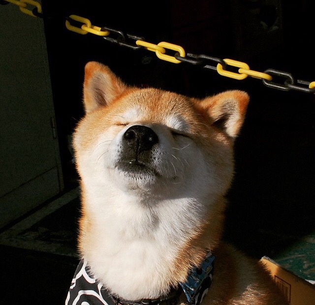 kaiyun开云·官方网站-UFC冠军赛延期，对手签证问题致使比赛推迟，ufc2020年比赛时间表及地点