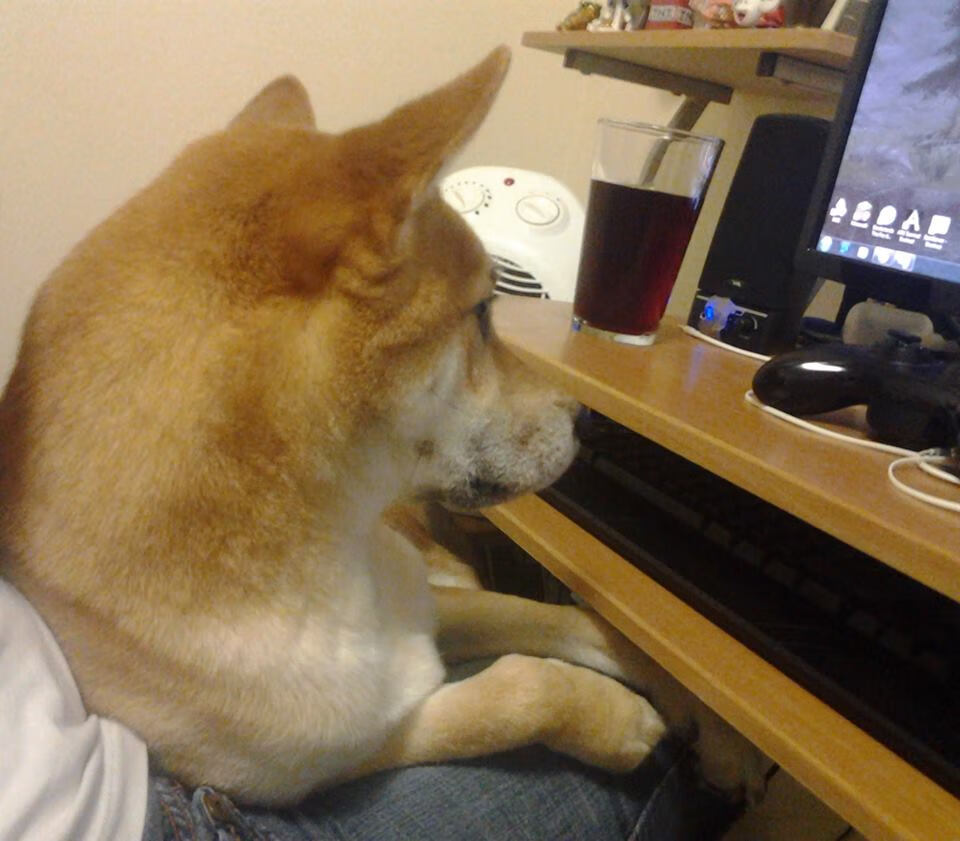 “德甲联赛逐渐展开高潮，球队状态火热”，德甲联赛集锦