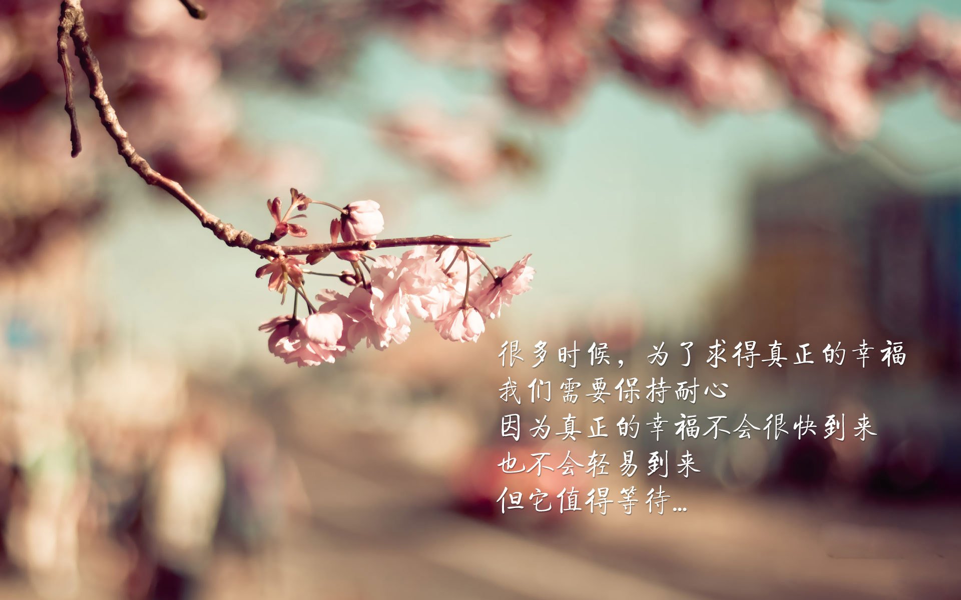 开云官方-【球桌养护】专业人士传授台球桌保养技巧，桌球台面怎么保养视频