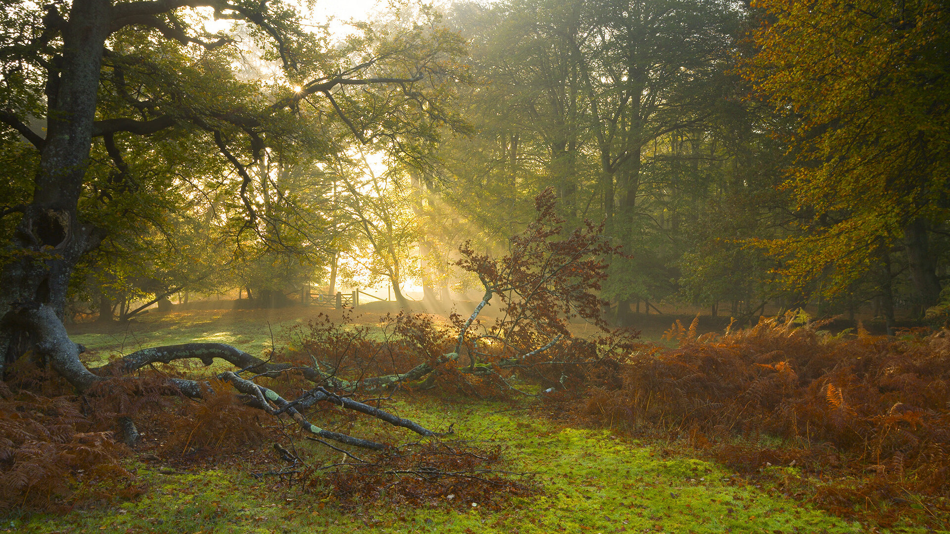 kaiyun体育综合-青训体系评估机制以技术数据为导向，青训制度