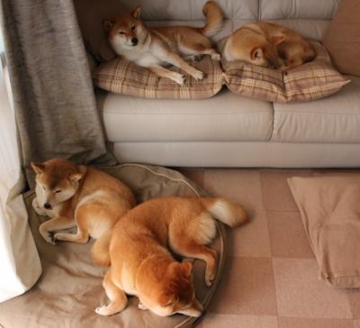 切尔西客场逆袭晋级下一轮比赛,切尔西比赛全场录像