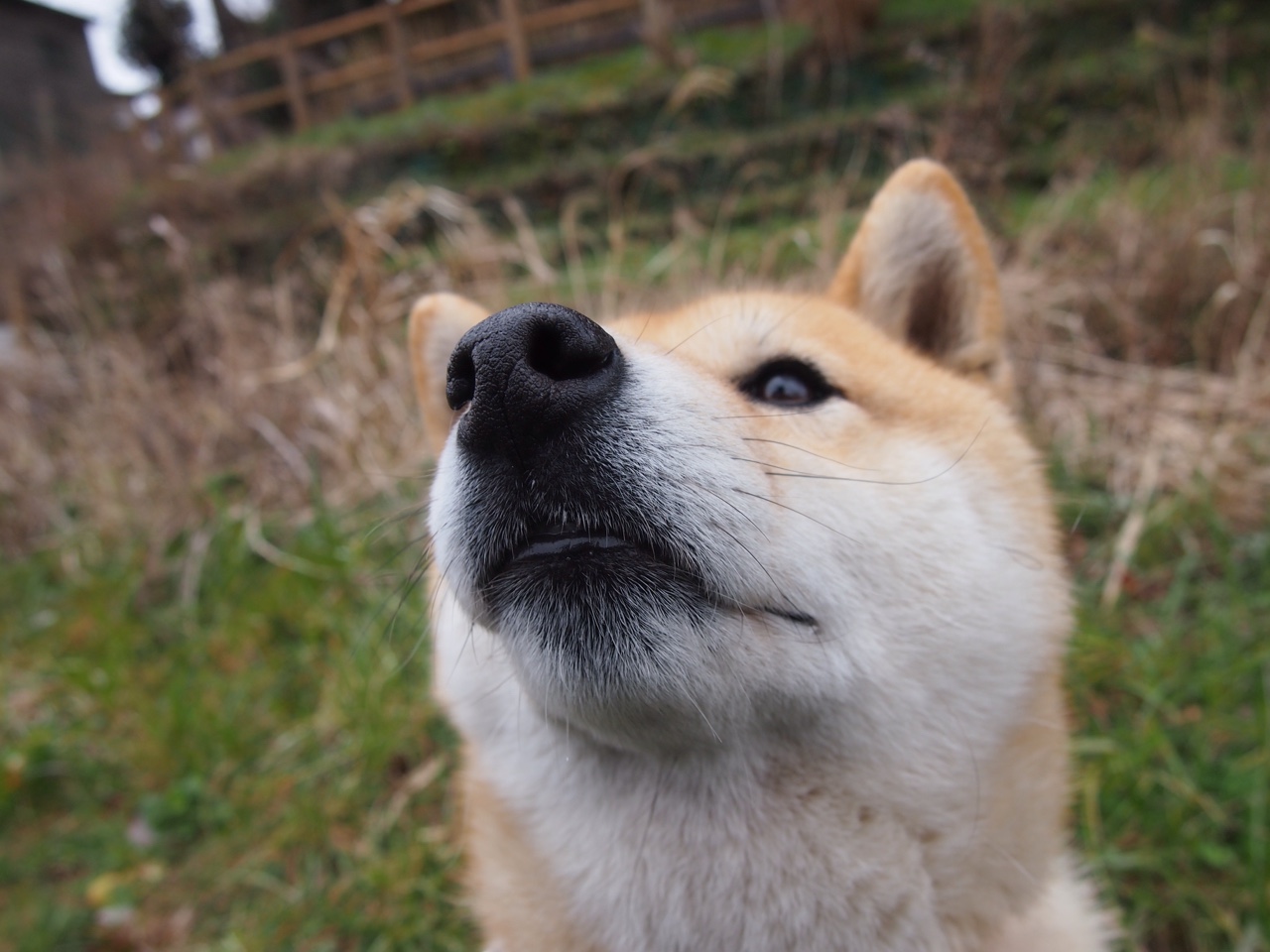 kaiyun中国官方网站-魔术队新战术奏效，逐渐走出低谷期，魔术队战绩