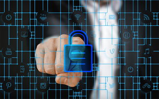 开云官网APP下载-科学管理体系研究，科学管理体制