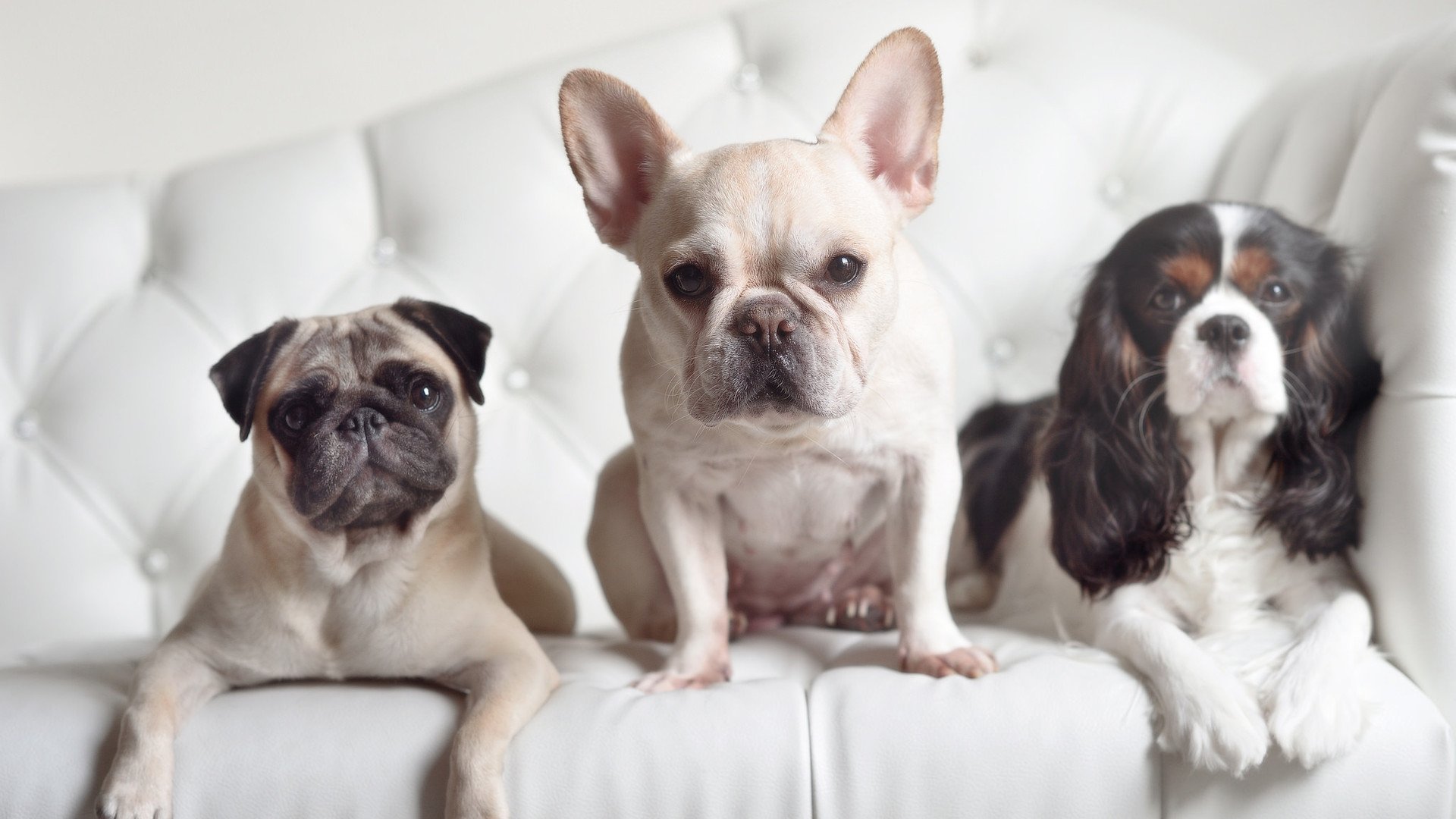 开云中国大陆-“垒球赛激烈角逐！新都赛场迎来决战时刻”