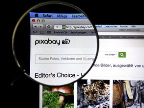 kaiyun开云·官方网站-体育新闻中心发布体育短视频传播效果白皮书，体育短视频成为平台和用户的新宠