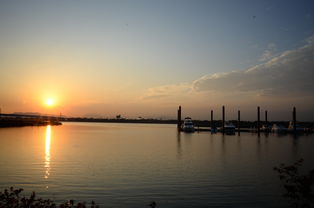 开云kaiyun-千帆竞发，轻艇马拉松点亮湖滨赛场，赛艇马拉松多少公里