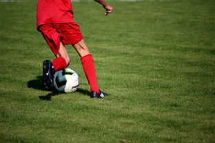 开云官方网站-CBA球队完善伤病防护体系保障运动员健康和职业生涯，cba球员伤情报告