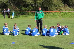 开云APP-德甲客场战术大公开，德甲打法